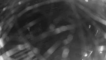 Snímek 8.11.2025 v 06:00