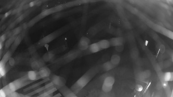 Snímek 8.11.2025 v 18:00