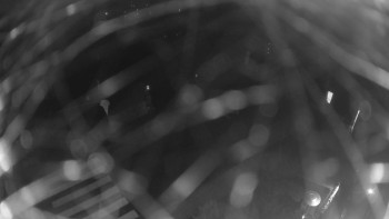 Snímek 9.11.2025 v 02:00