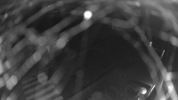 Snímek    13.11.2025 v 03:00