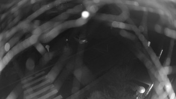 Snímek 13.11.2025 v 20:00