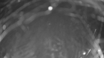 Snímek    14.11.2025 v 00:00