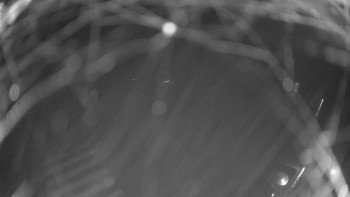 Snímek 14.11.2025 v 03:00