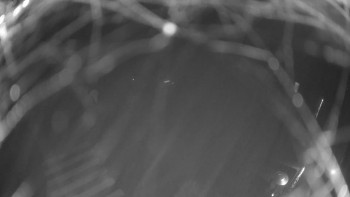 Snímek    14.11.2025 v 04:00