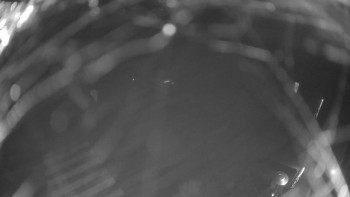 Snímek    14.11.2025 v 06:00