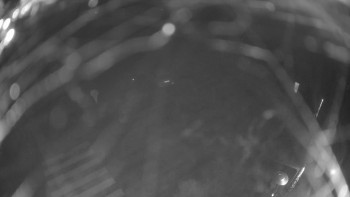 Snímek    14.11.2025 v 07:00