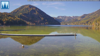 Snímek    29.10.2025 v 12:00