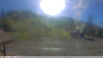 Snímek    19.10.2025 v 13:00