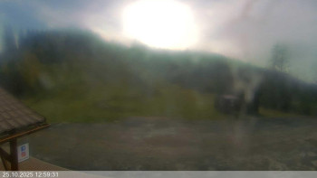 Snímek    25.10.2025 v 13:00