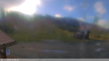 Snímek    29.10.2025 v 10:00