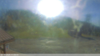 Snímek    31.10.2025 v 12:00