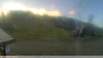 Snímek    1.11.2025 v 08:45