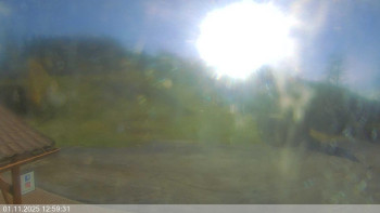 Snímek    1.11.2025 v 13:00