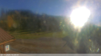 Snímek    1.11.2025 v 14:30