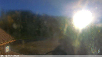 Snímek    4.11.2025 v 14:45