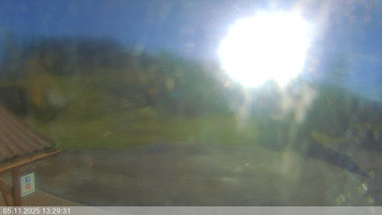 Snímek 5.11.2025 v 13:30