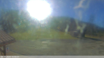 Snímek 6.11.2025 v 11:00