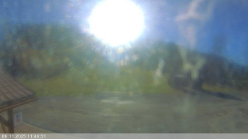 Snímek 6.11.2025 v 11:45