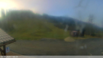 Snímek    11.11.2025 v 07:45