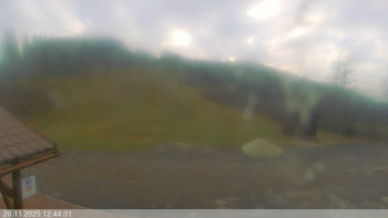 Snímek    20.11.2025 v 12:45