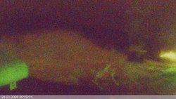 Dolní část sjezdovky