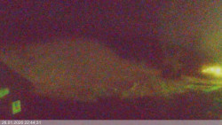 Dolní část sjezdovky