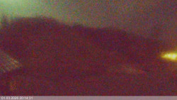 Dolní část sjezdovky