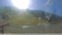 Dolní část sjezdovky