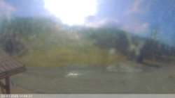 Dolní část sjezdovky