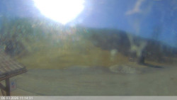 Dolní část sjezdovky