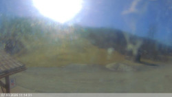 Dolní část sjezdovky