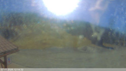 Dolní část sjezdovky