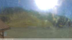 Dolní část sjezdovky