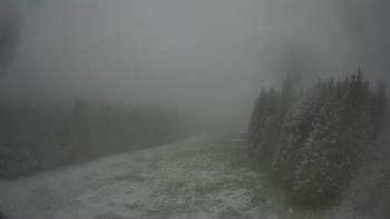 Snímek    15.5.2025 v 09:30