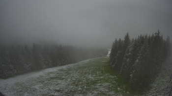 Snímek    15.5.2025 v 11:30