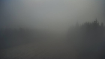 Snímek    4.11.2025 v 08:30