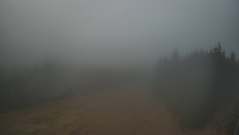 Snímek    4.11.2025 v 16:00