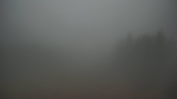 Snímek 9.11.2025 v 11:00