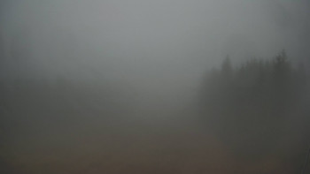 Snímek 9.11.2025 v 12:00