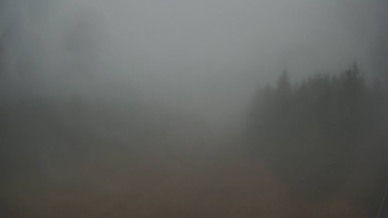 Snímek 9.11.2025 v 12:30