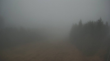 Snímek    9.11.2025 v 13:30