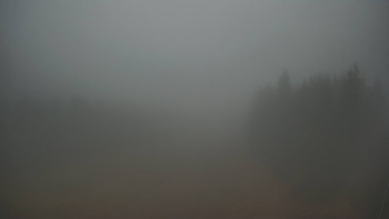 Snímek 9.11.2025 v 14:30