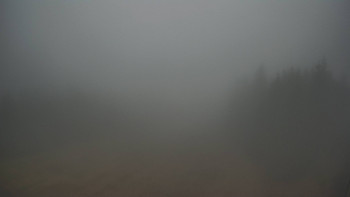 Snímek 16.11.2025 v 12:00