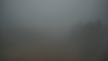 Snímek 16.11.2025 v 16:00