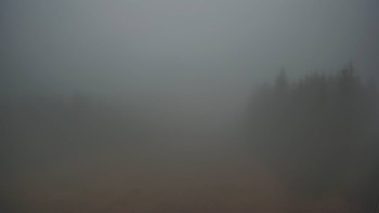 Snímek 17.11.2025 v 07:00