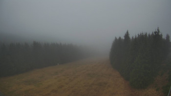 Snímek 17.11.2025 v 08:30