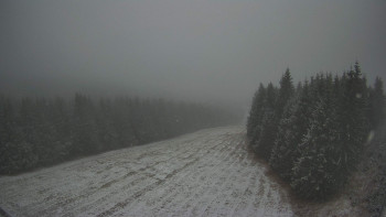 Snímek 17.11.2025 v 14:30