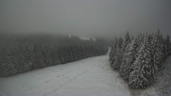 Snímek    19.11.2025 v 11:00