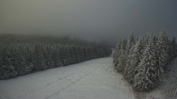 Snímek    19.11.2025 v 14:00