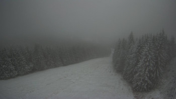 Snímek    20.11.2025 v 07:30